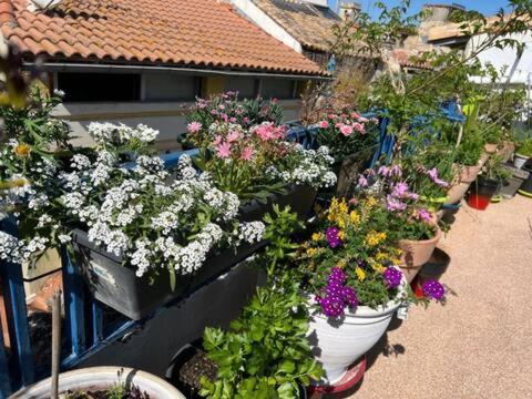 Loft Apartment , La Terrasse Centre Ville D'Arles, 외부 사진